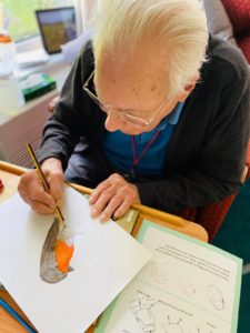 An elderly man sits at a table drawing a picture of a robin. He is wearing a grey jumper and wears glasses.